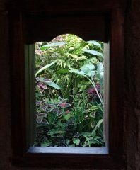 DSC03229a